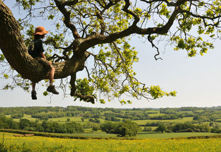 Boy in a tree